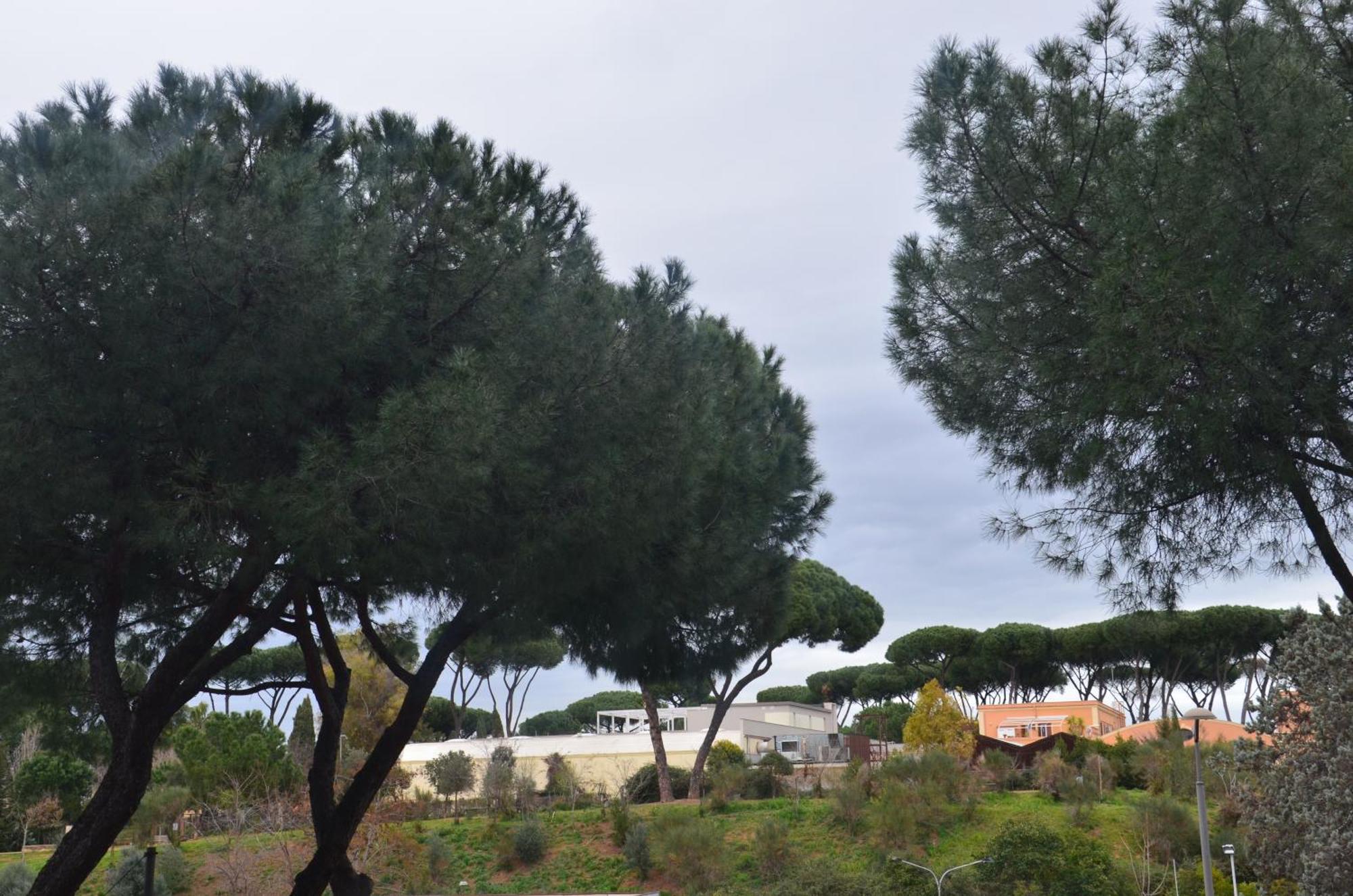 Casa Luna Ρώμη Εξωτερικό φωτογραφία